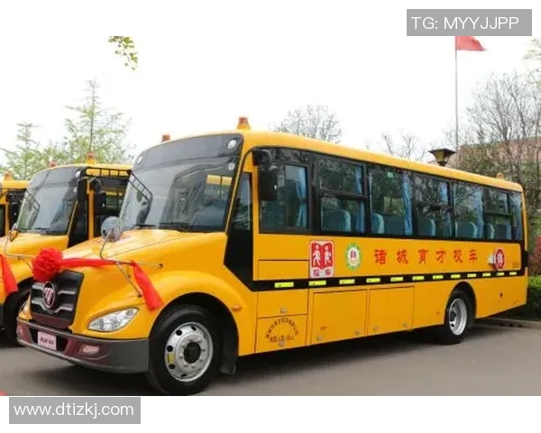 张宁：从职场新星到行业领军者的成长之路与成功秘诀分享